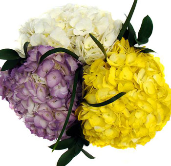 St. Laurent Painted Hydrangea Flower Wedding Bouquet St. Laurent Painted Hydrangea Flower Wedding Bouquet