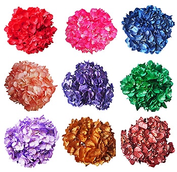 Pastel airbrushed hydrangeas in assorted tones, ideal for weddings, events, and creative floral décor.