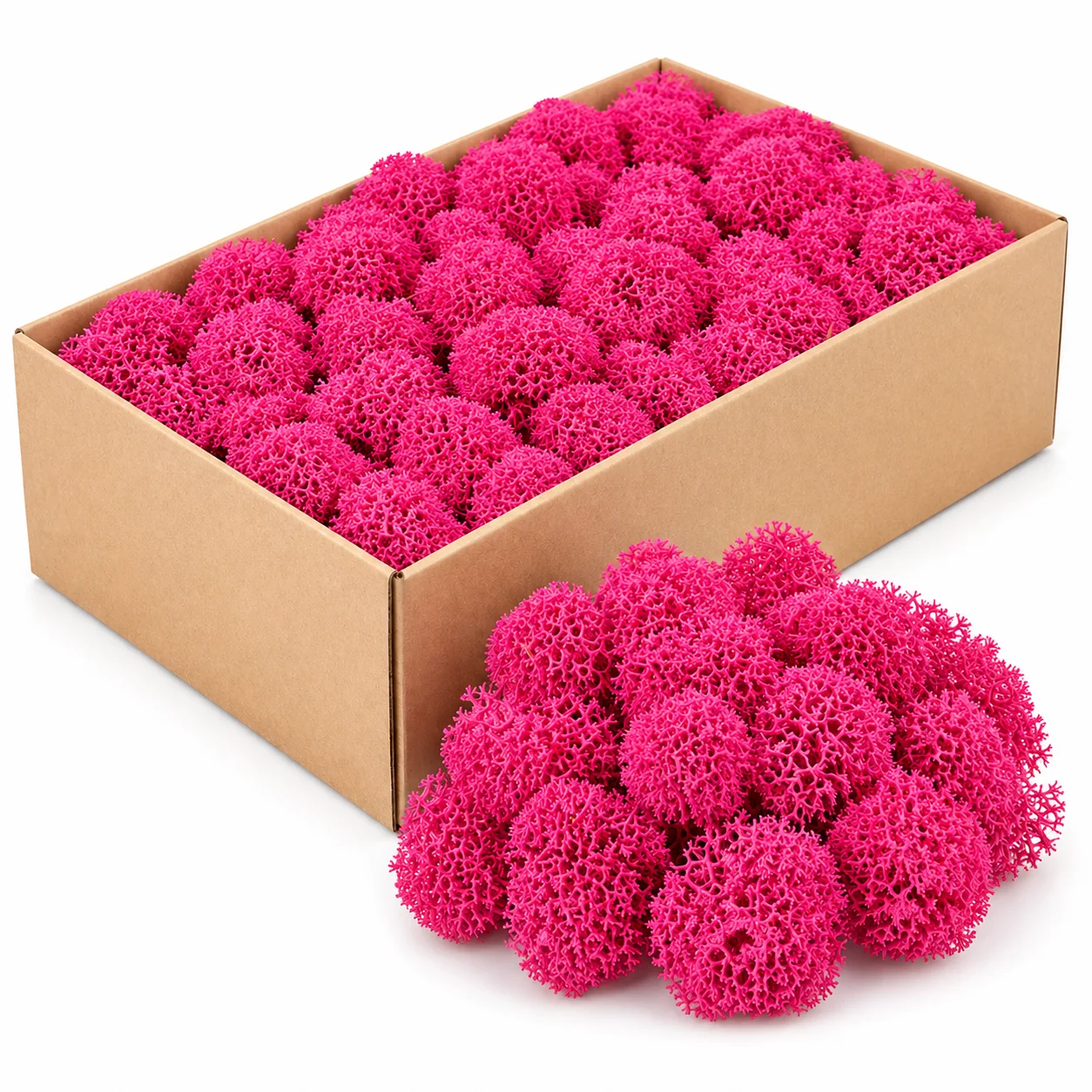 Iceland Moss Preserved - Hot Pink Iceland Moss Preserved - Hot Pink