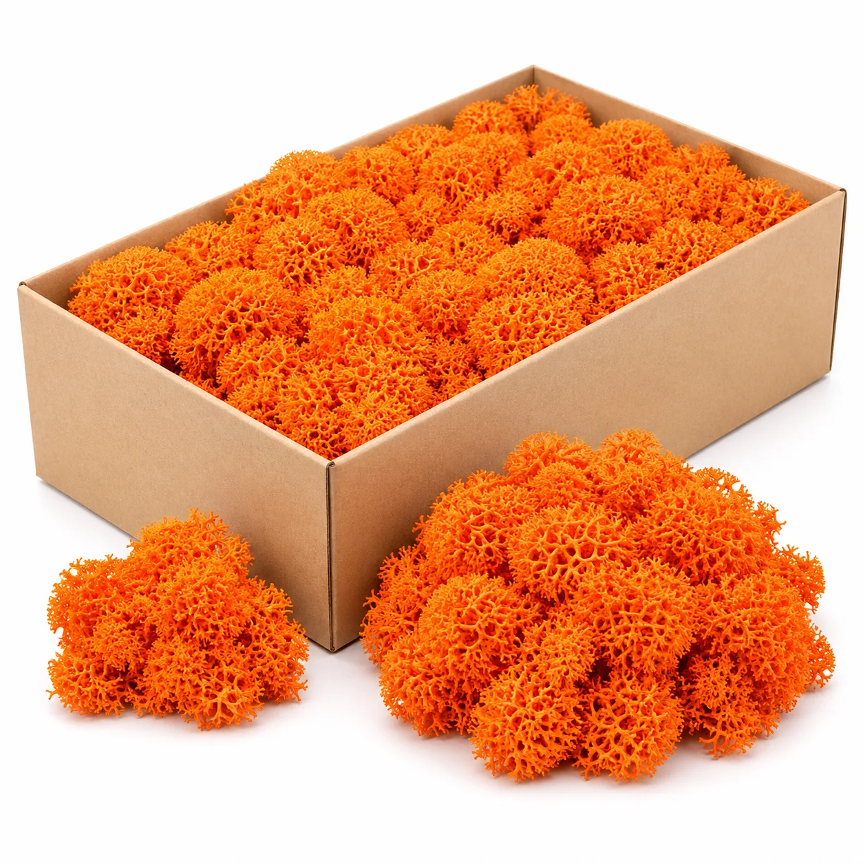 Iceland Moss Preserved - Orange Iceland Moss Preserved - Orange