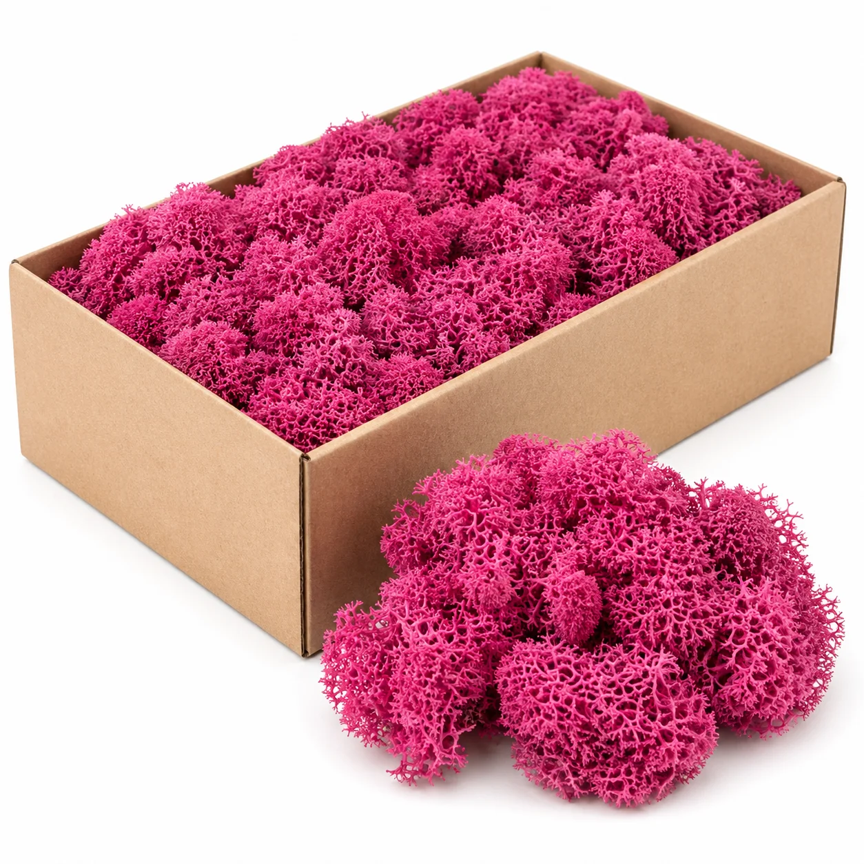 Iceland Moss Preserved - Pink Iceland Moss Preserved - Pink