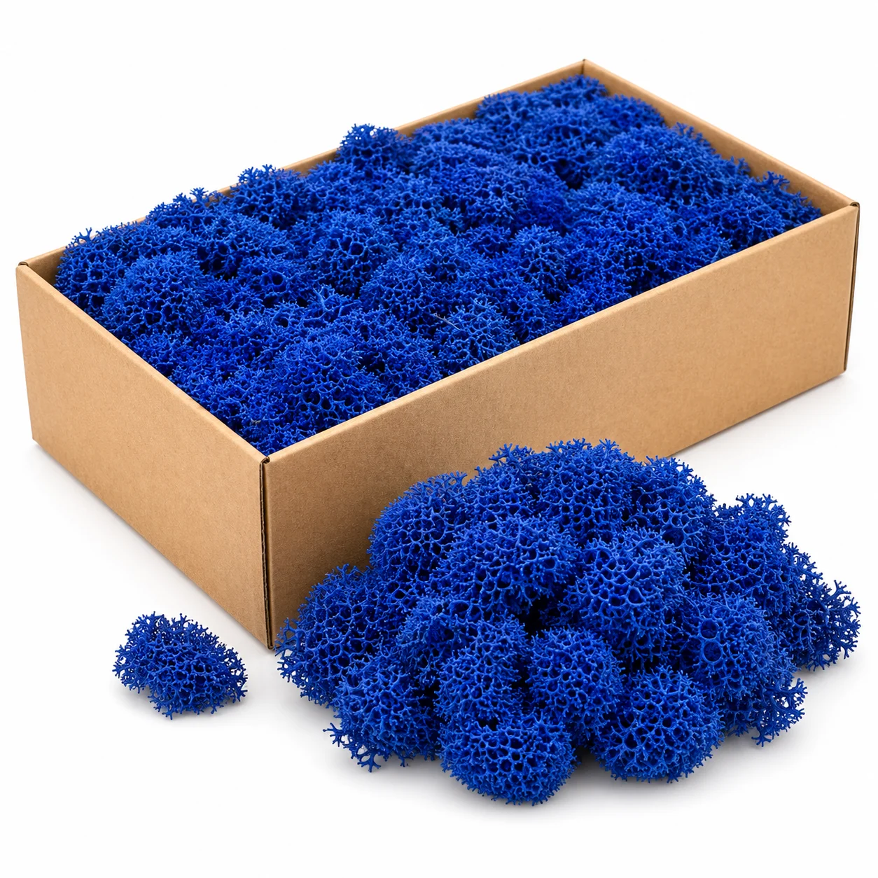 Iceland Moss Preserved - Royal Blue Iceland Moss Preserved - Royal Blue