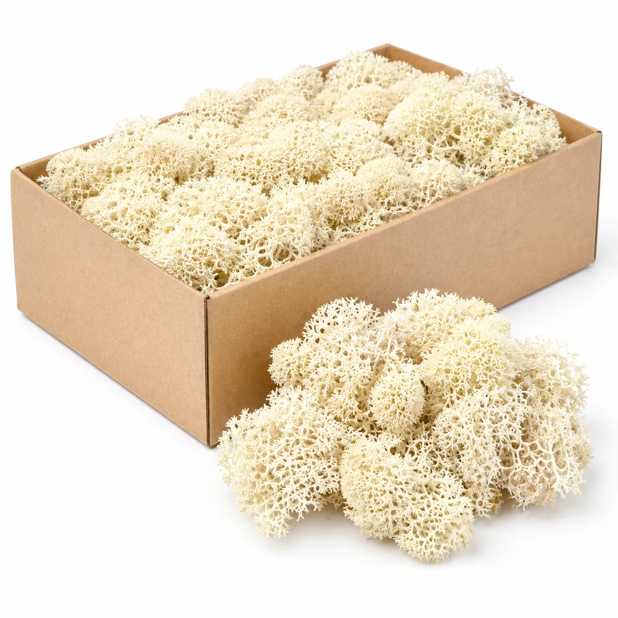 Iceland Moss Preserved - White Iceland Moss Preserved - White