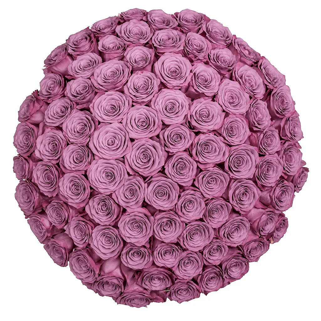 Luxurious fresh cut bulk lavender roses, offering a unique and enchanting touch for stunning floral arrangements.