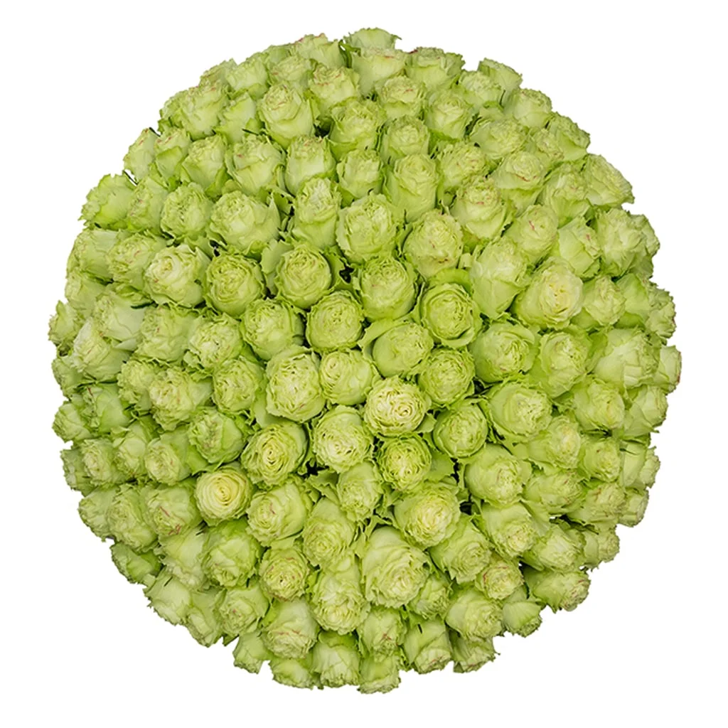 Bulk Lemonade Green Roses featuring fresh, subtle green tones perfect for bridal bouquets, modern décor, and premium floral displays.
