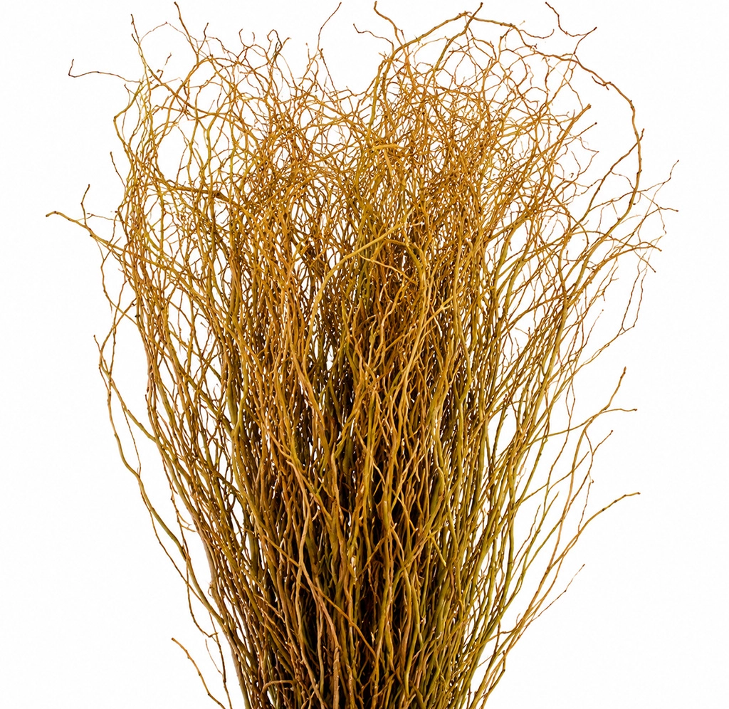 Long Curly Willow Branches in bulk for wedding centerpieces, floral installations, event décor, and wholesale designs.