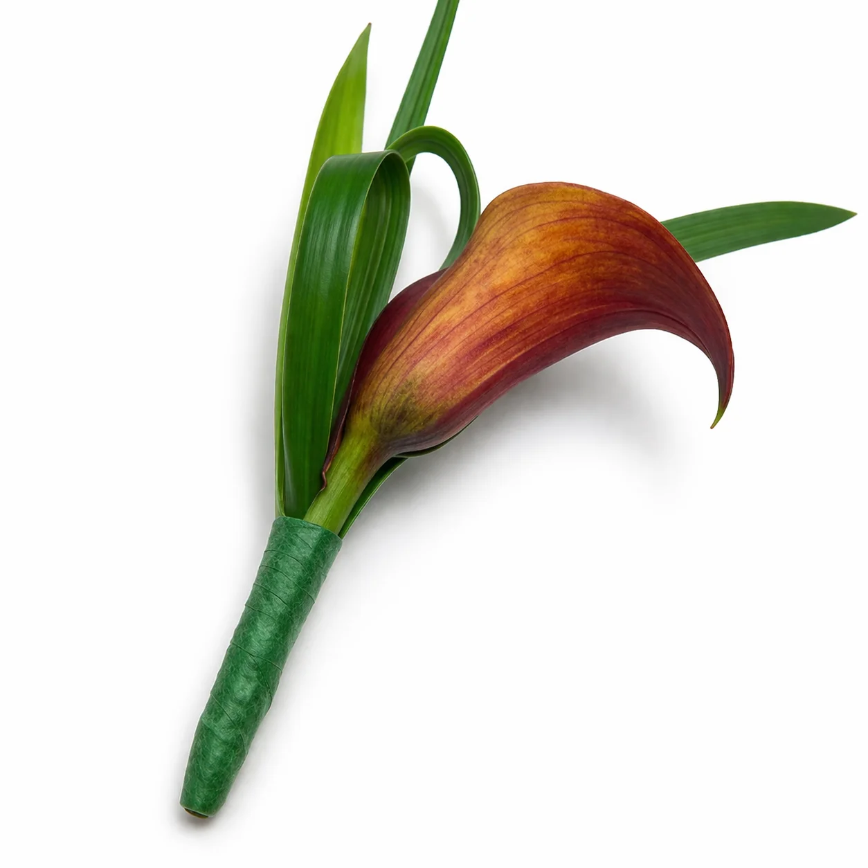 Mango Orange Mini Calla Boutonniere Flower