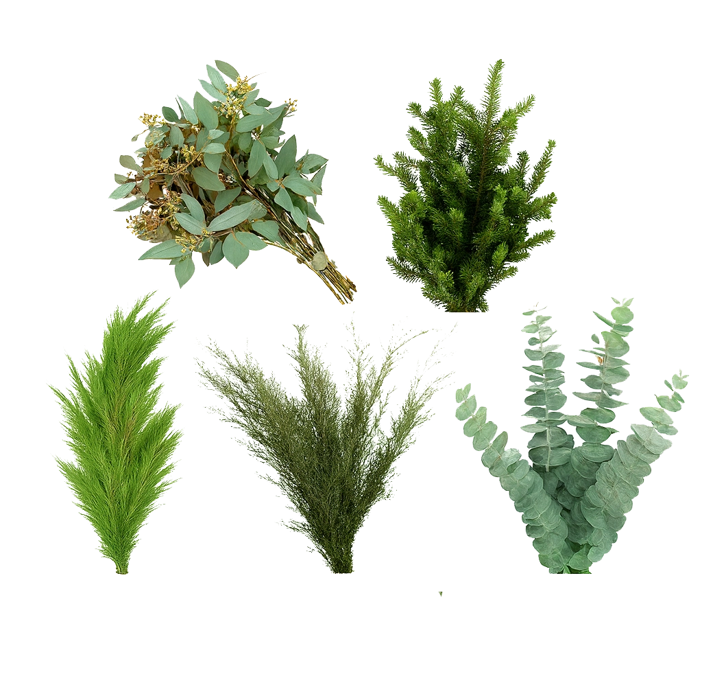 Christmas Mixed Box Collection - Yule, featuring 5 bunches of festive greenery including fir, cedar, eucalyptus, and evergreen foliage.