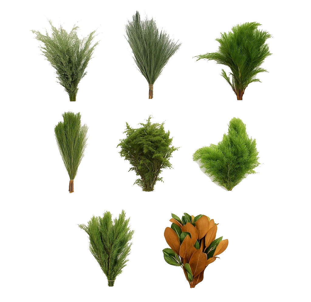Christmas Mixed Box Collection - Florida, 25 bunches of assorted holiday greenery including cedar, pine, fir, and magnolia for festive holiday decor.