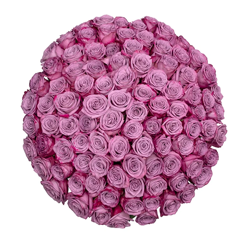 Wholesale Moody Blues Lavender Roses ideal for brides and wedding décor, offering a sophisticated touch with stunning lavender petals.