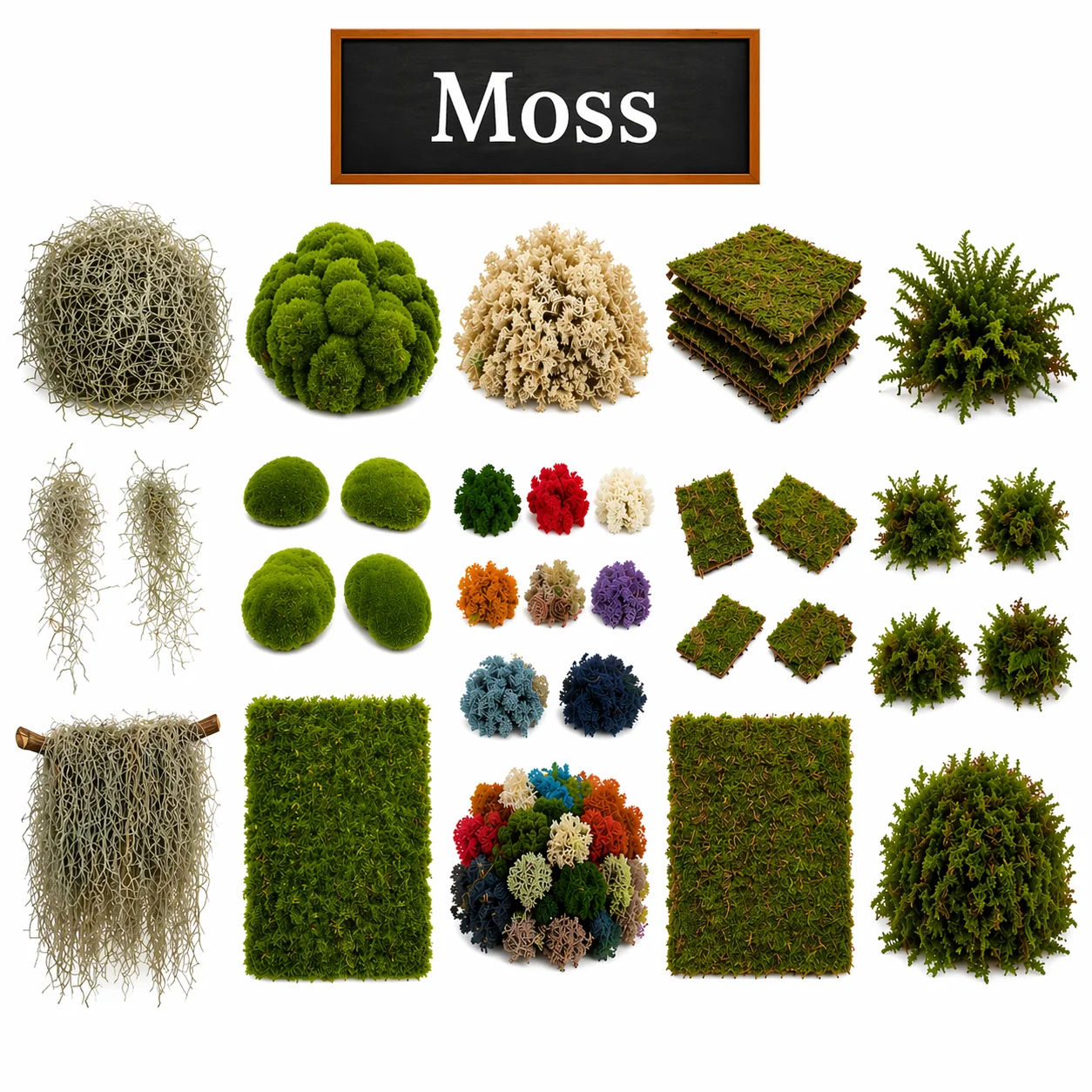 Shop assorted moss varieties including Spanish, mood, reindeer, sheet, and deerfoot moss for floral designs and decor.