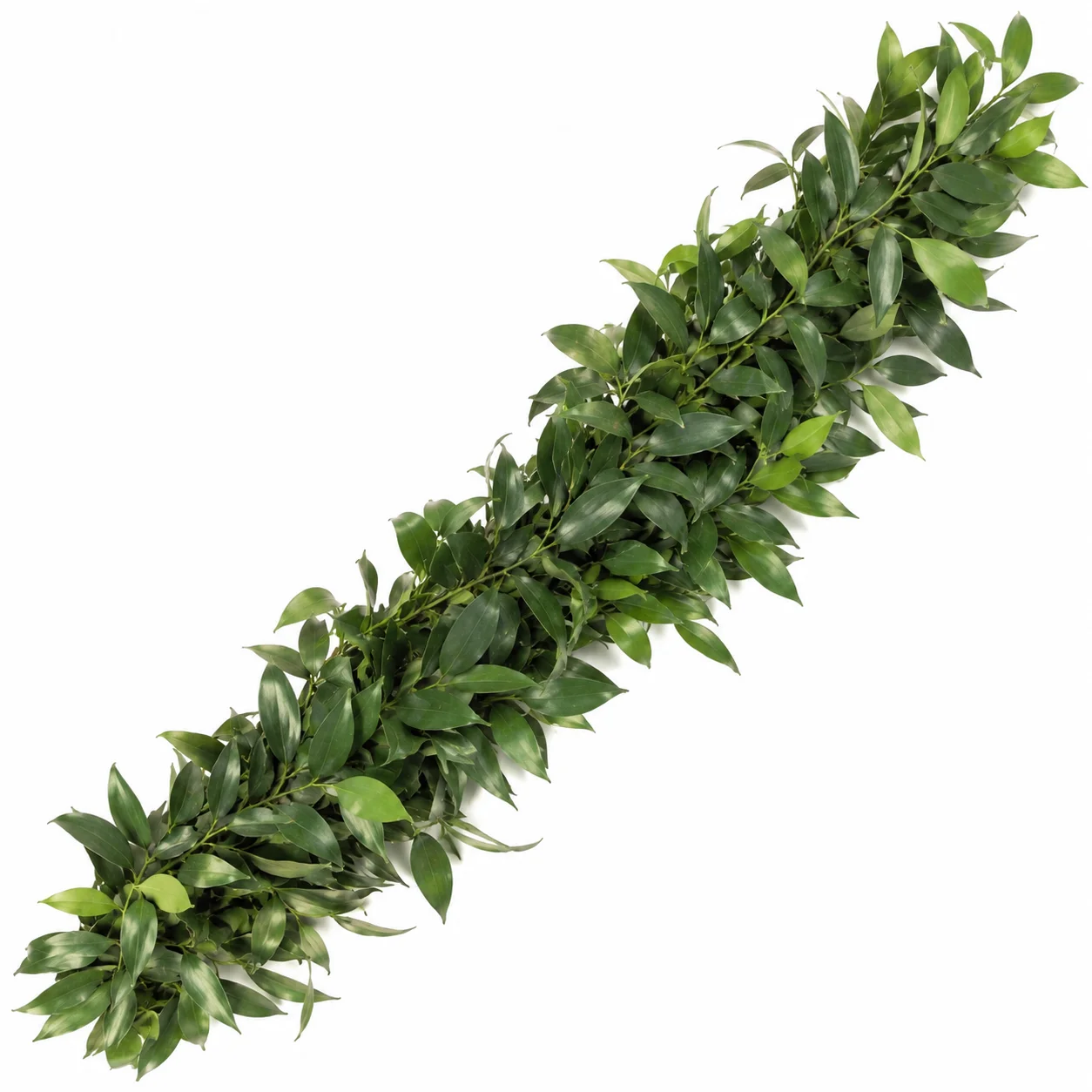 Fresh Nagi Garland, 5 inches wide, featuring lush green foliage for natural wedding, event and holiday décor.