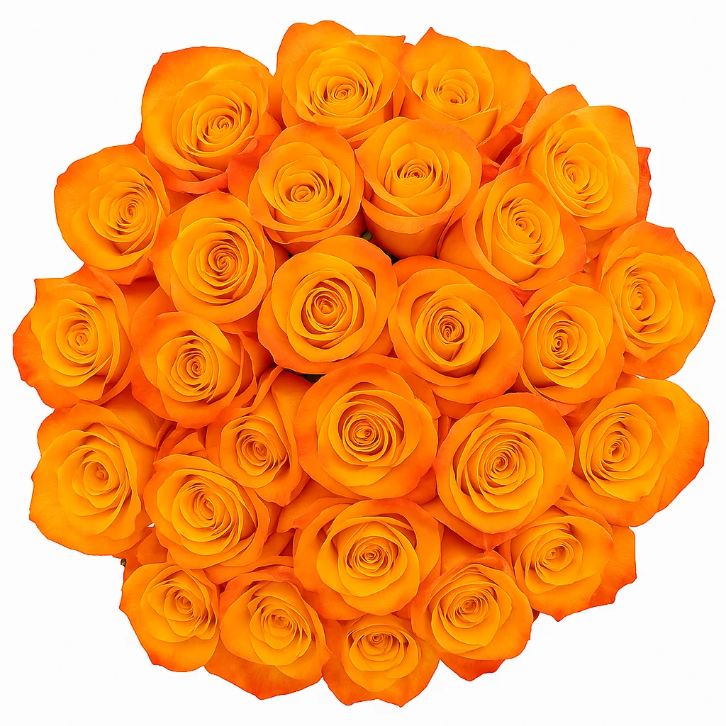 Vibrant fresh cut bulk orange roses, radiating energy and passion to create stunning and unforgettable floral arrangements.