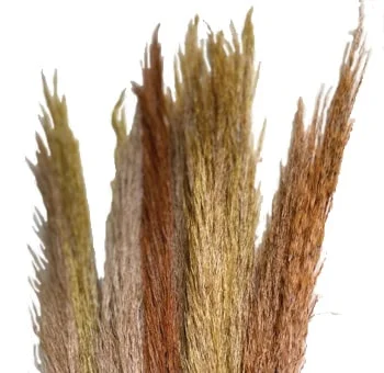 An elegant Fall Pampas Designer Box filled with autumn-themed decor inspired by pampas grass.