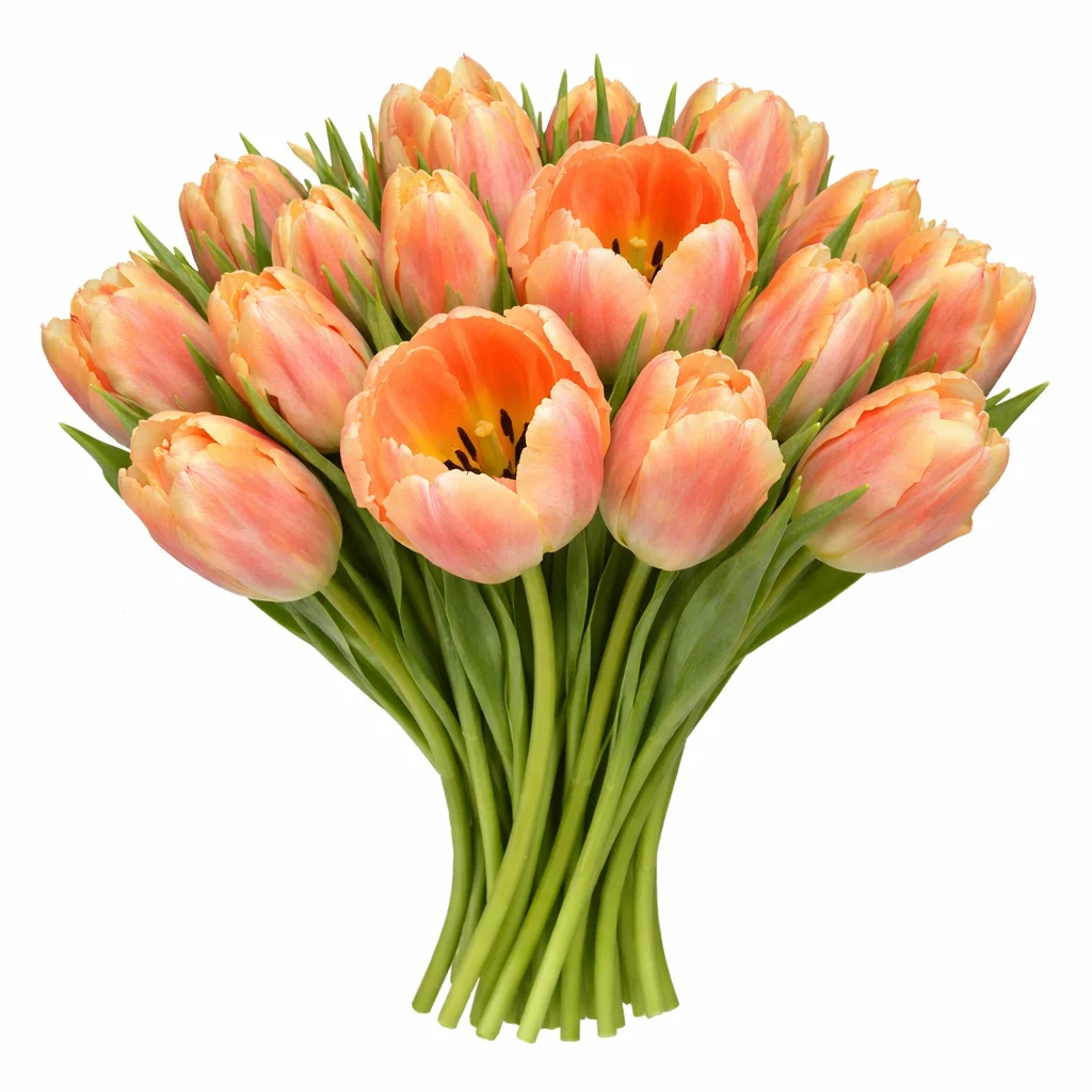 Dee Jay parrot tulip bouquet in red and yellow tones – bulk wholesale wedding flowers for vibrant floral designs.