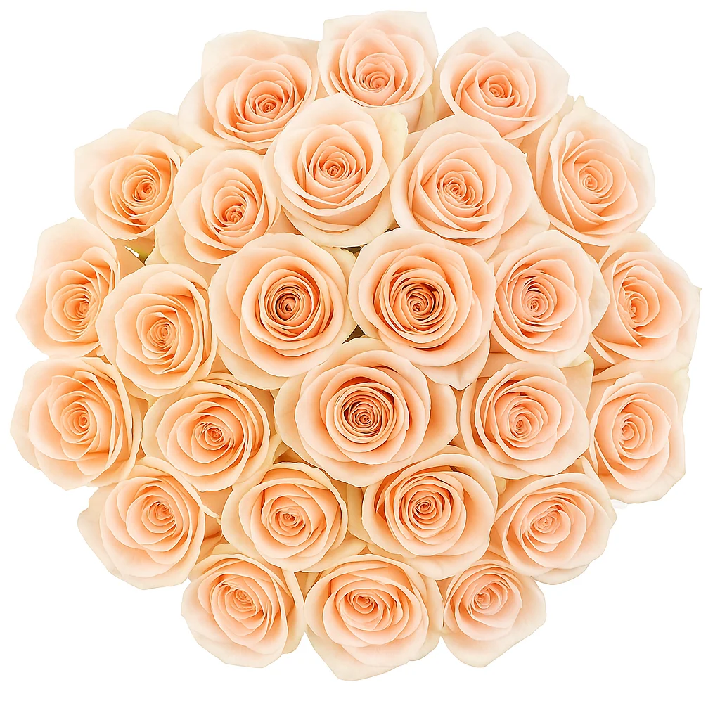 Peach Roses in Bulk Peach Roses in Bulk