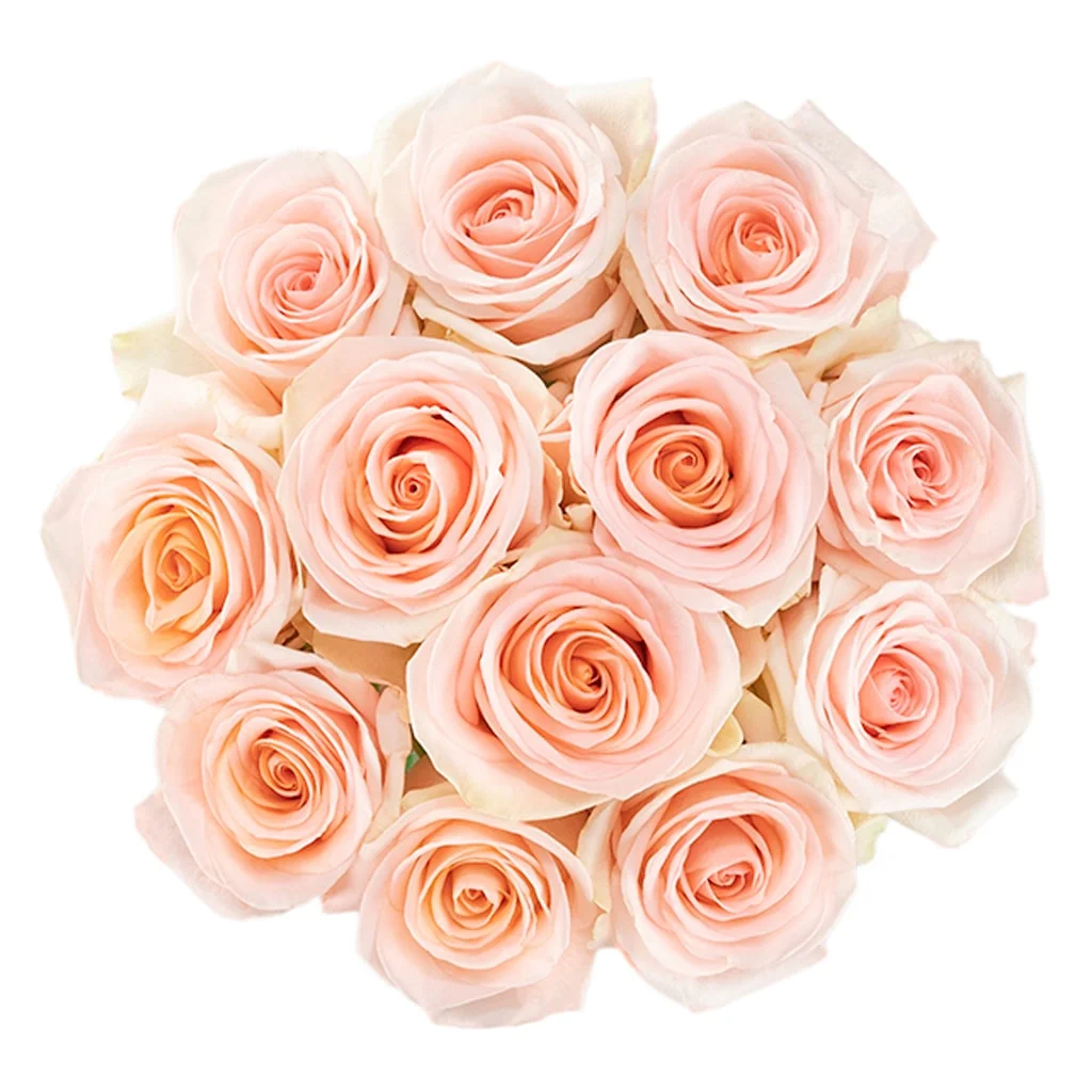 Bulk Peach Tiffany Roses ideal for weddings, bridal bouquets, and premium event flower decorations.