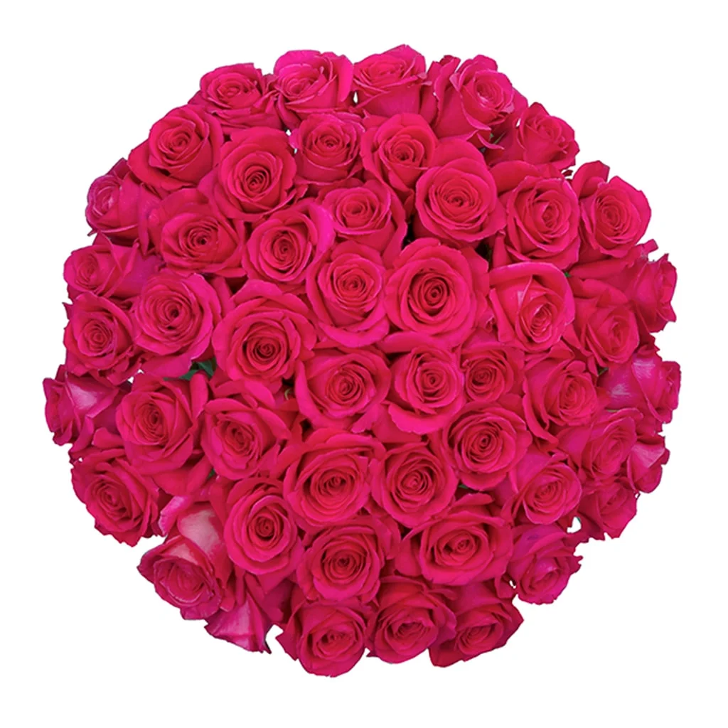 Bulk Pink Floyd Roses with large blooms and vivid color, perfect for wedding bouquets, romantic events, and elegant floral décor.