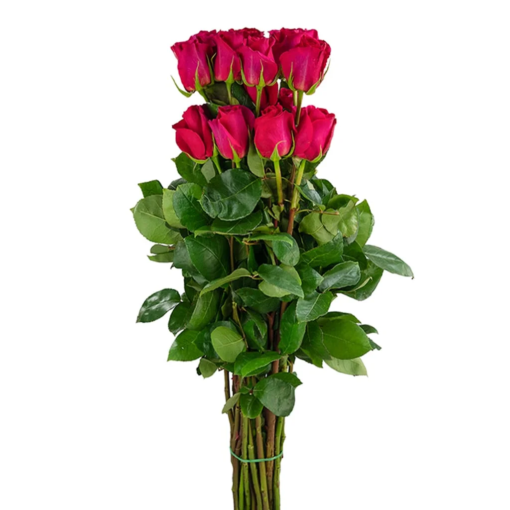 Premium Pink Floyd Roses with bold petals and rich color, styled for weddings, luxury gifts, and large-scale event floral installations.