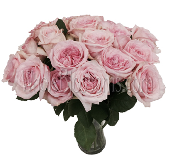 A side perspective of Pink Invitation Roses, emphasizing their graceful petal layers and vintage charm.