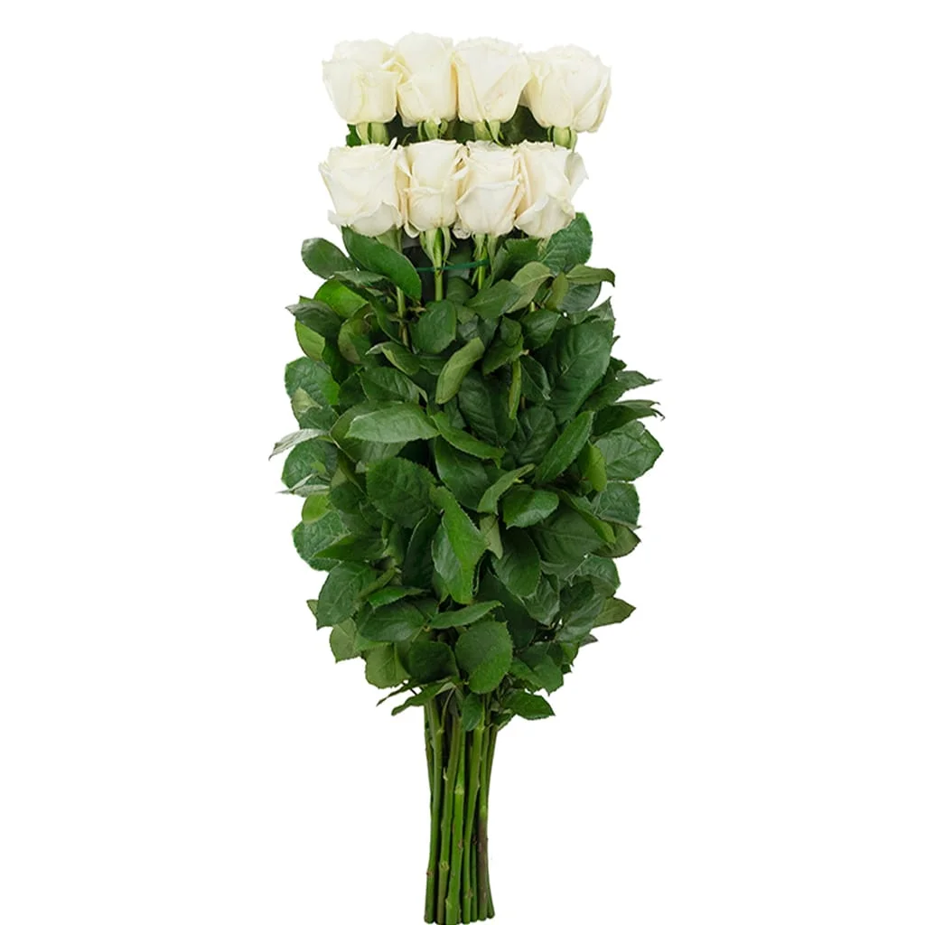 Playa Blanca Roses in white, perfect for bridal flowers, event styling, and bulk wholesale flower needs for weddings and celebrations.