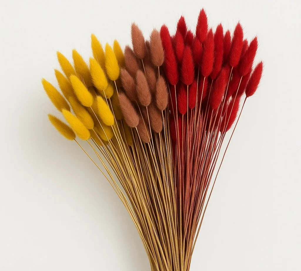 Preserved bunny tail grass in bulk for weddings and events—vibrant red, yellow, and brown Lagurus Ovatus plumes perfect for rustic bouquets and centerpieces.