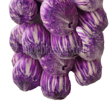 Purple Mum