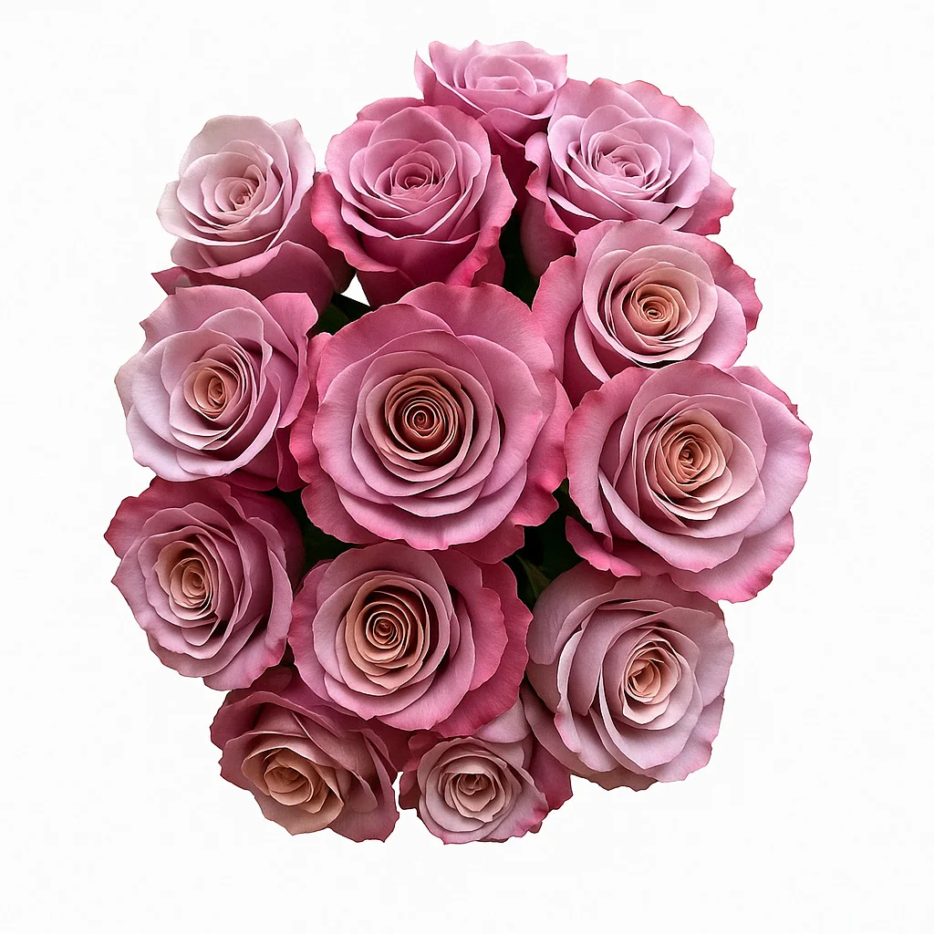 Bulk bunch of Purple Moon Lavender Roses in soft plum and dusty rose hues, perfect for florists, event decorators, and romantic wedding florals.