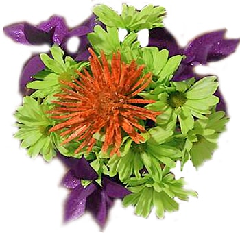 Halloween centerpieces in bulk, perfect for spooky party décor, weddings, and festive event arrangements.