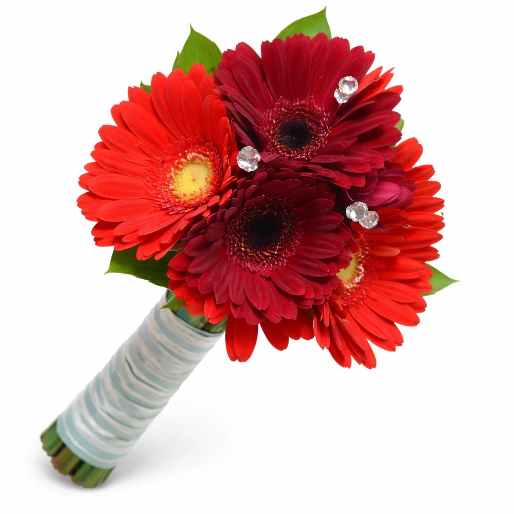 Red gerbera bridesmaid bouquet with bold blooms, ideal for weddings, gifts, and cheerful floral design.