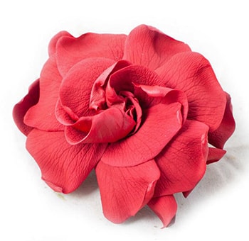 Red Gardenia