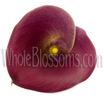 Red Mini Calla Lilies