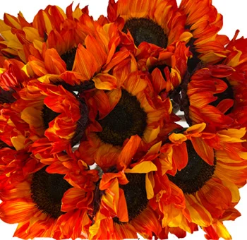 Single red-tinted sunflower with dark brown center and rich, bold red petals, perfect for adding a pop of color to floral designs.