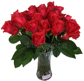 Rock Star Orange Rose Flower Wholesale.