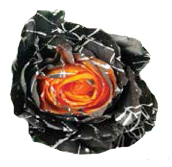 Rose Tinted - Mystery Confetti Rose Tinted - Mystery Confetti