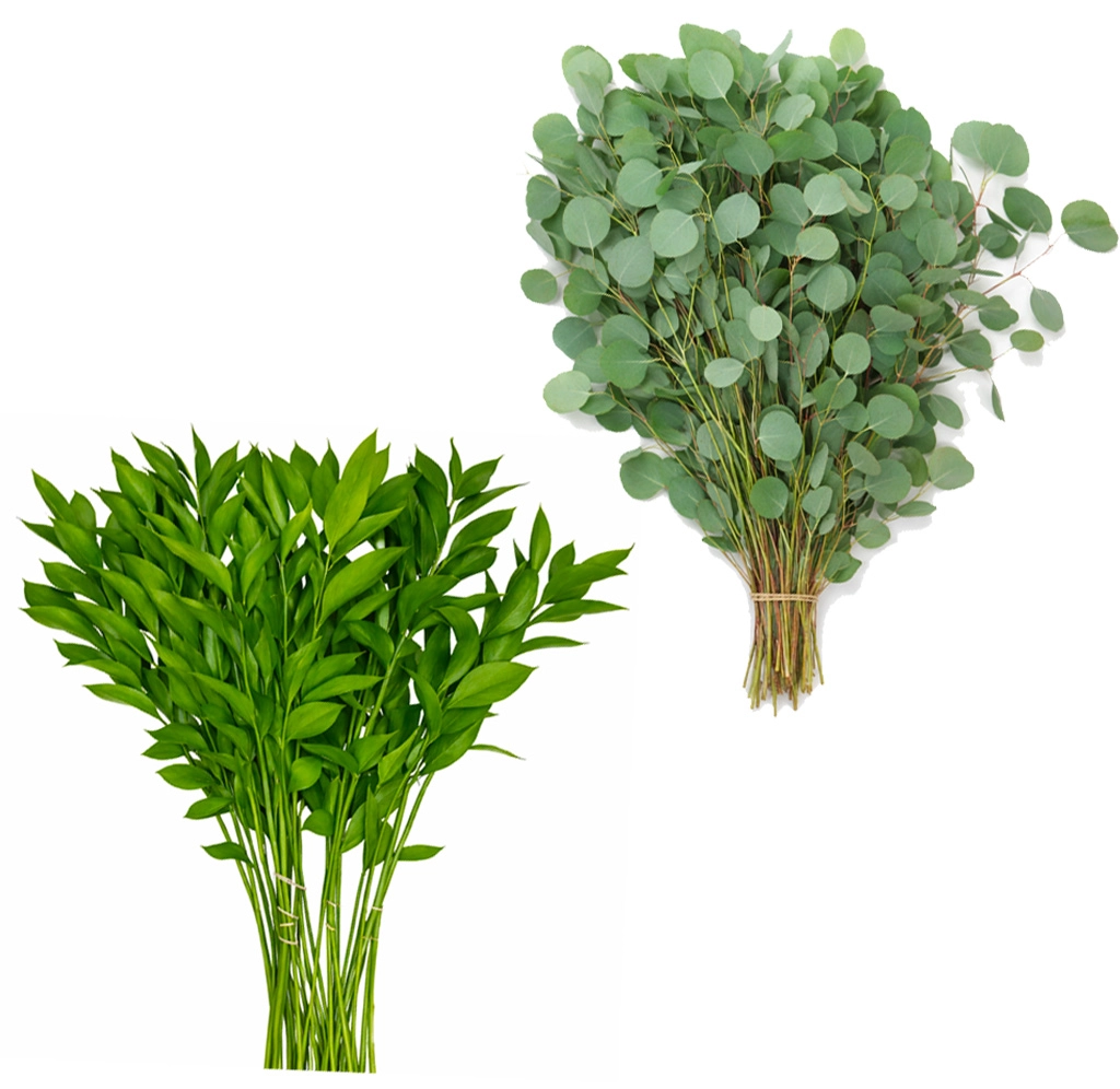 Silver Dollar Eucalyptus & Ruscus Bundle Silver Dollar Eucalyptus & Ruscus Bundle