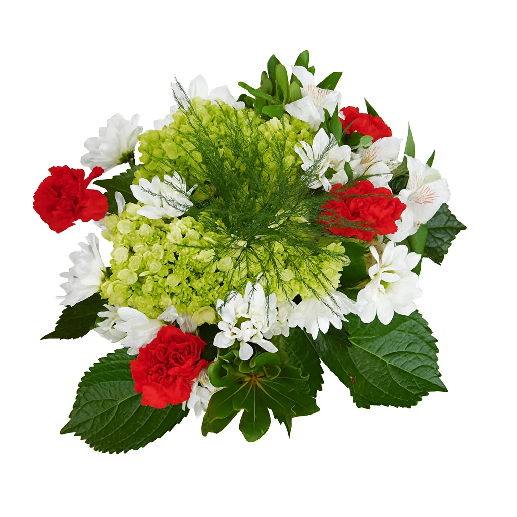Christmas centerpiece with green hydrangeas, red carnations, white blooms, and lush greenery arranged in a festive holiday design.