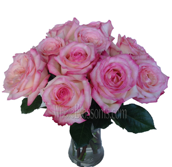 Shop Sweet Fragrance roses in bulk at wholesale prices for weddings and events. Elegant blooms with soft tones perfect for bouquets and centerpieces.