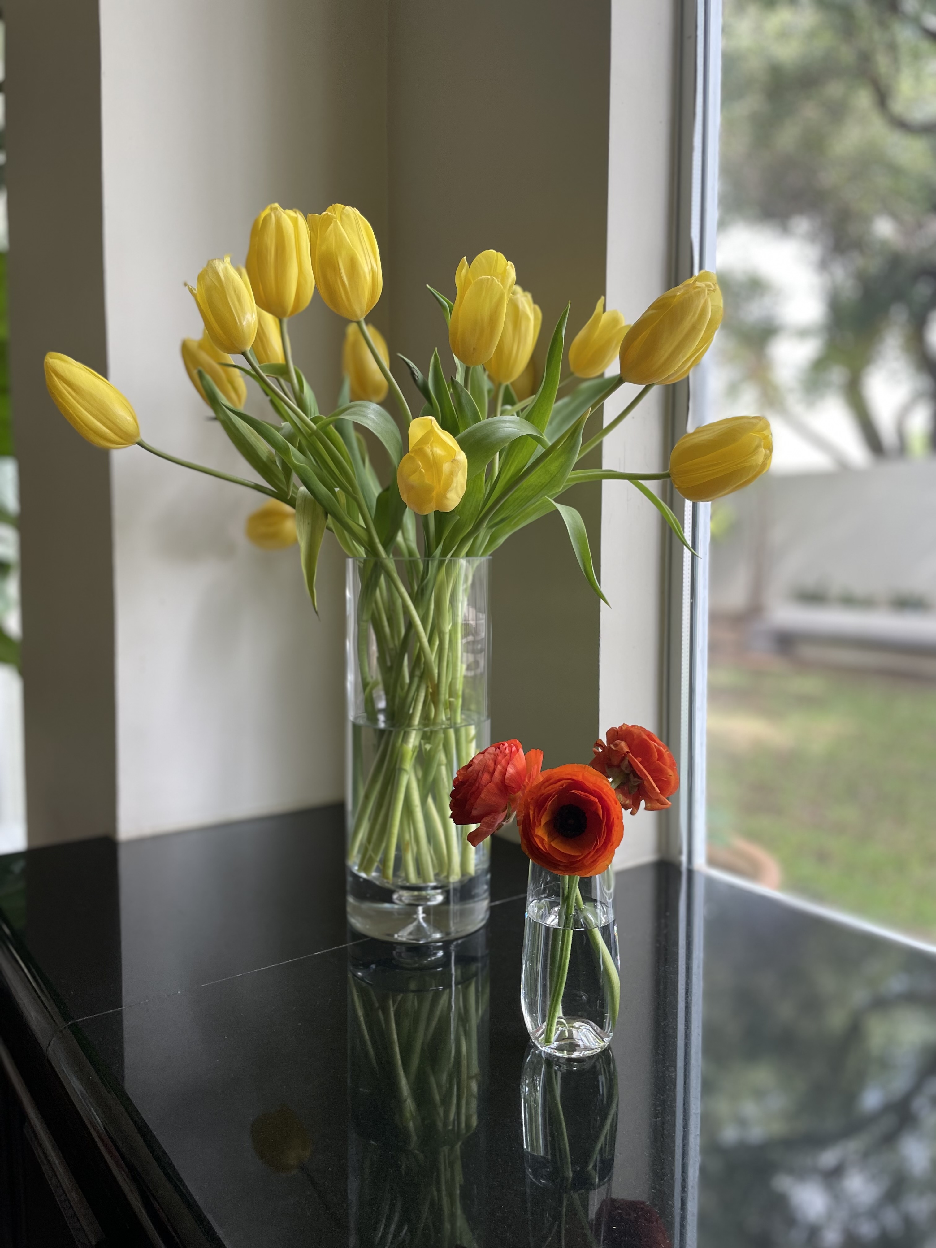 WholeBlossoms Testimonials Photos from Adriana Cigarroa