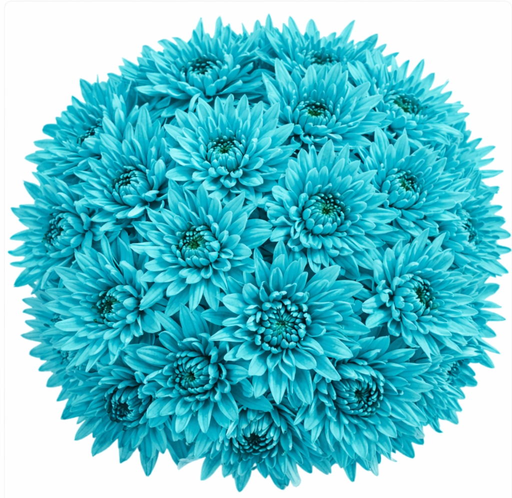 Bulk turquoise tinted cushion pom flowers for wedding centerpieces and event décor