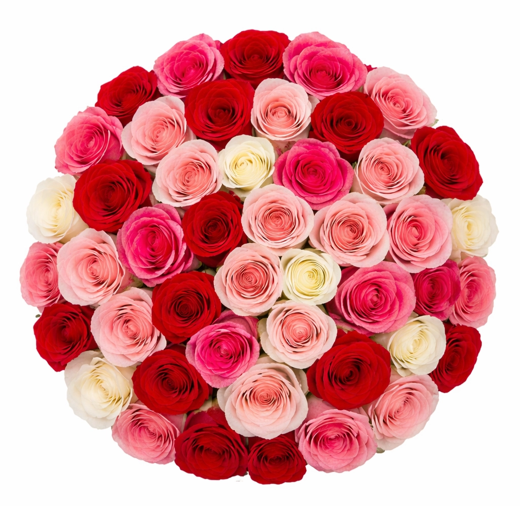 Romantic pink and red rose assortment for Valentine’s Day weddings and event décor.