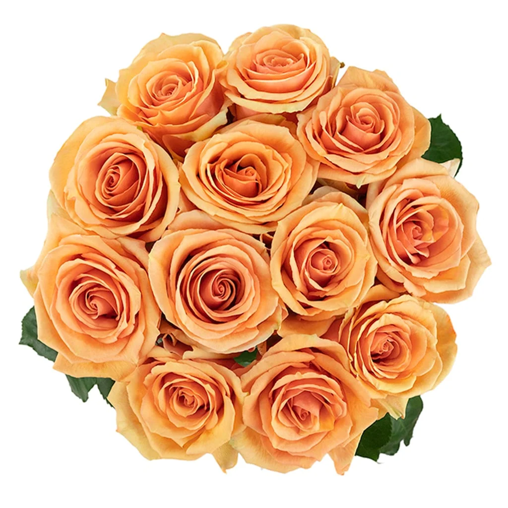 Bulk Peach Versilia Rose blooms with rich color, perfect for weddings, romantic gifts, and luxury floral designs.