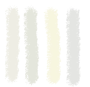 White wedding flower color palette featuring pure white, ivory, and cream shades for floral arrangements.