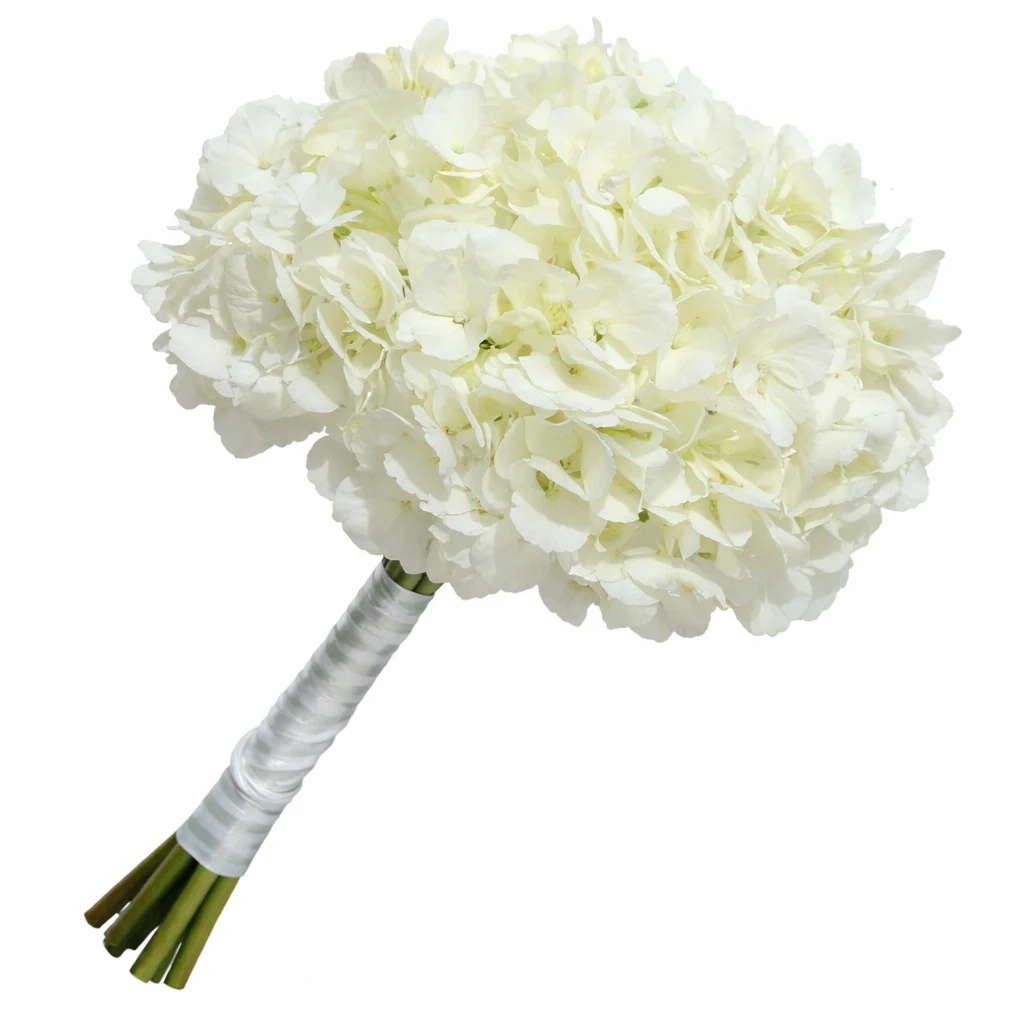 White Hydrangea Round Bridal Bouquet White Hydrangea Round Bridal Bouquet