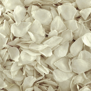 Preserved White Rose Petals