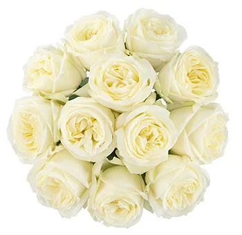 Lavish white roses bouquet for weddings and events, premium wholesale blooms offering elegance, sophistication, and top quality.