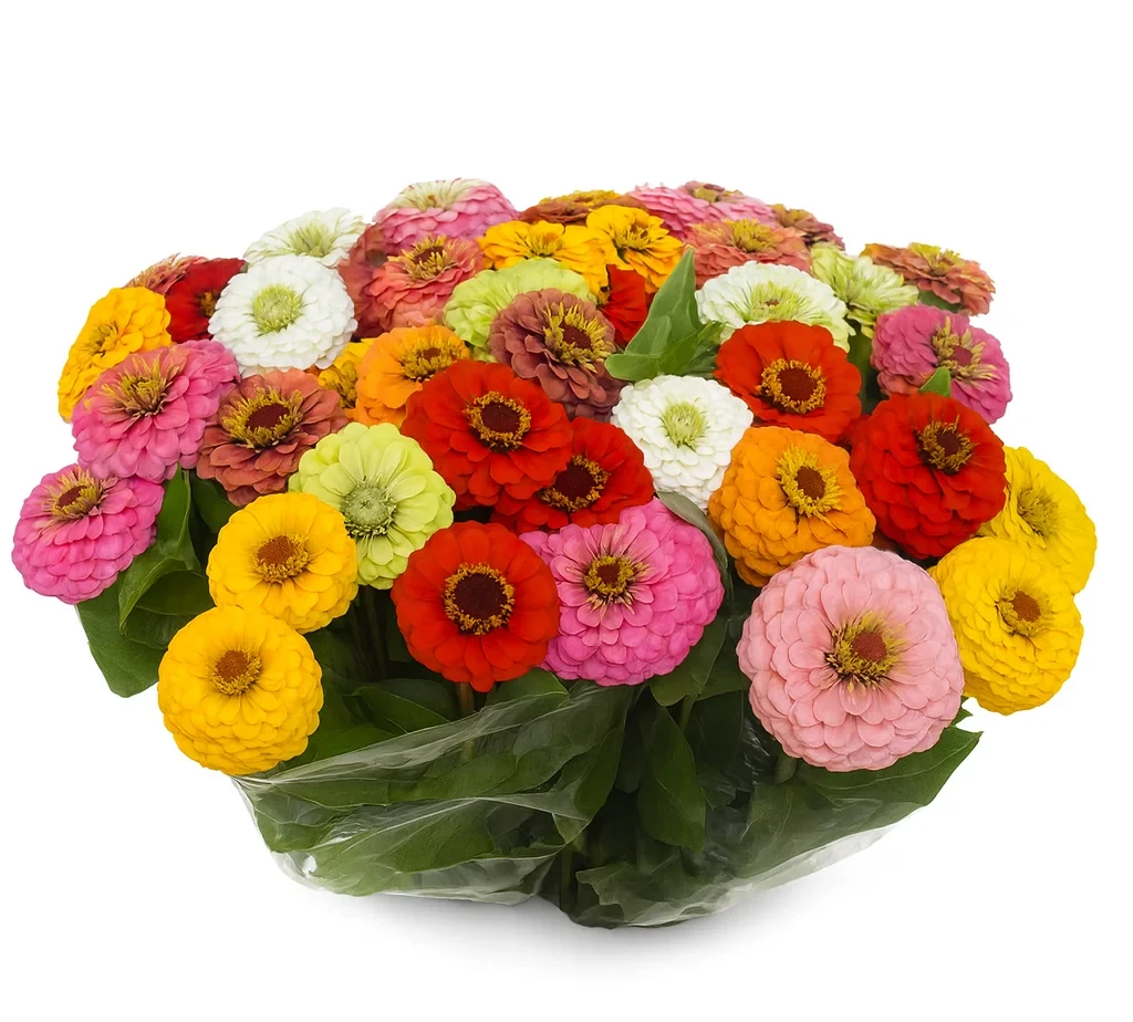 Assorted bulk zinnias in vibrant colors including pink, yellow, red, white, and green—fresh-cut, farm-grown flowers perfect for weddings and events.