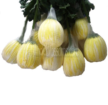 Football Mum Yellow Flower
