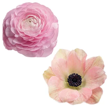 Pink Anemone & Ranunculus Bundle, a romantic touch for weddings.