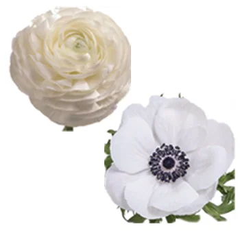 Charming white anemones and ranunculus bundle, the epitome of wedding elegance.